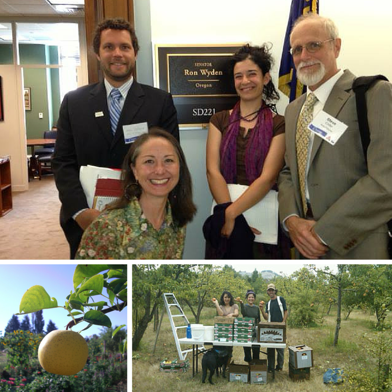 Top: Farmer, Rachel Weiner, in Washington D.C. with other organic supporters getting ready to meet with Senator Wyden, D-OR. Bottom row: Photos from Rachel's farm. Photos: OFRF, Rachel Weiner.