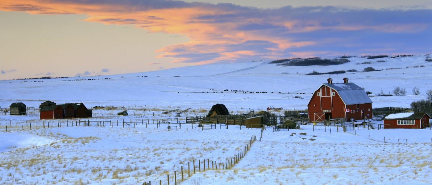 winter farm and barn landscape