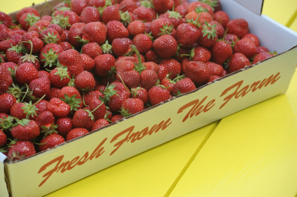 Farm fresh strawberries