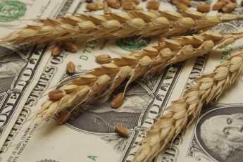 Don’t Bank on It: Farmers Face Significant Barriers to Credit Access During Economic Downturn
