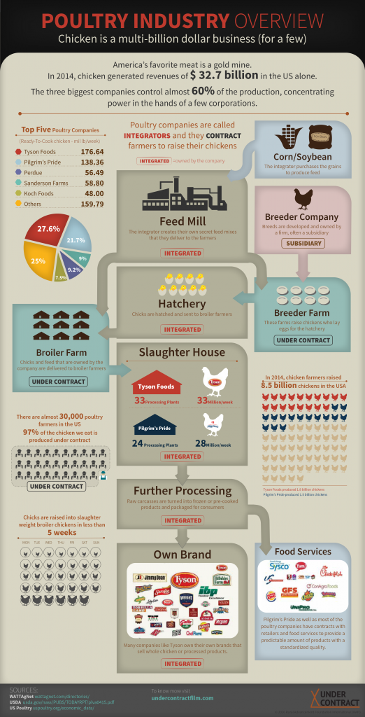 poultry industry overview