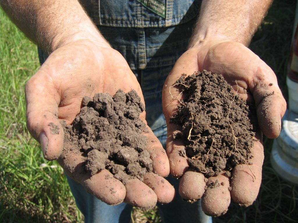 Soil comparison in hands