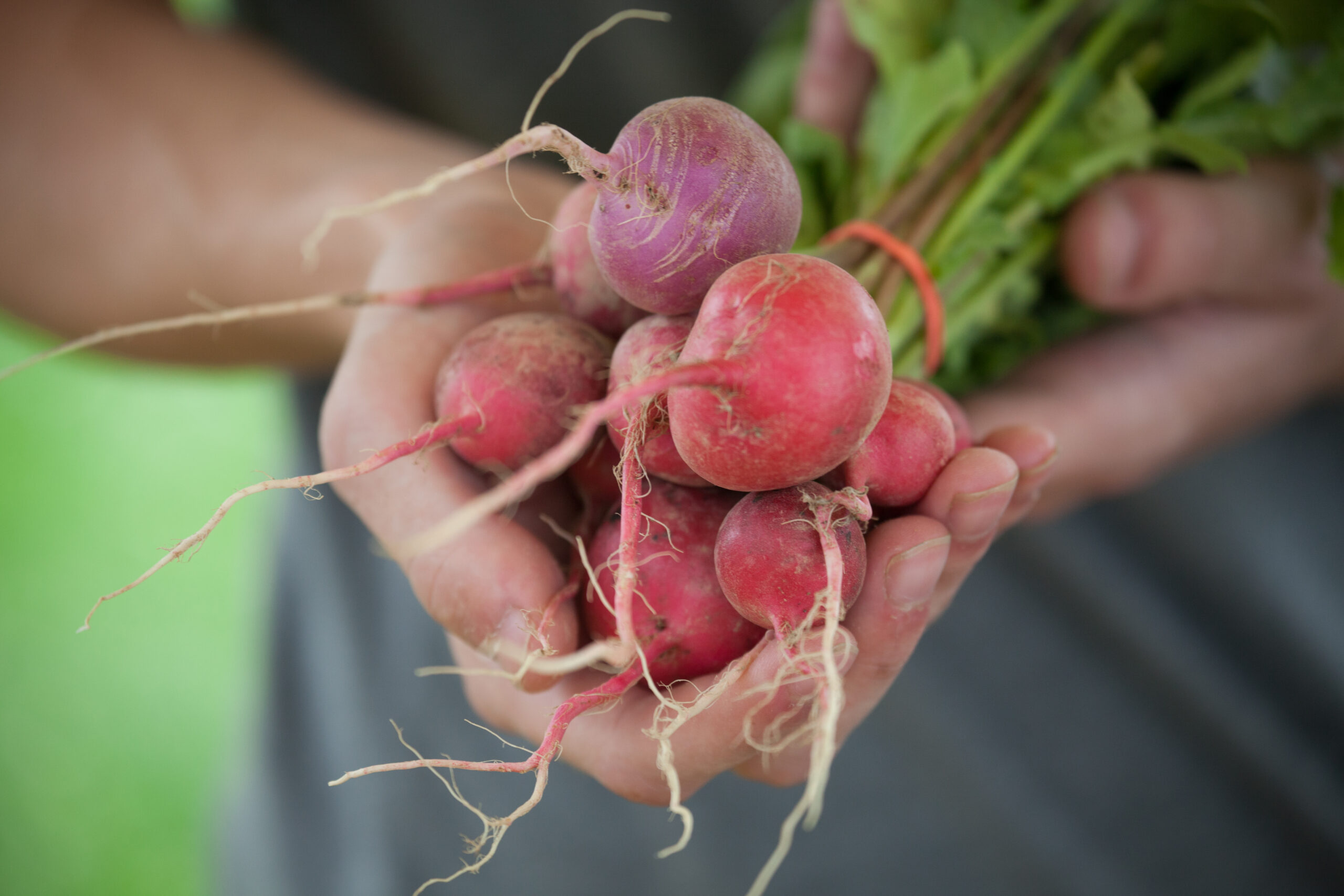 When you support family farmers, you invest in a future of good food for all of us. Photo: Patty O'Brien