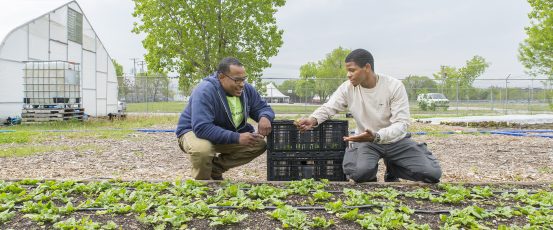 Making Change for Family Farmers: Our Grantees 6 Months In