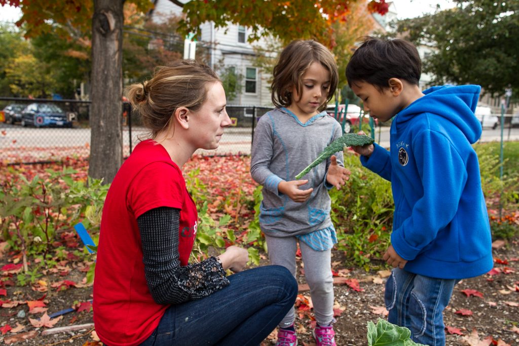 Students learning in the CitySprouts program