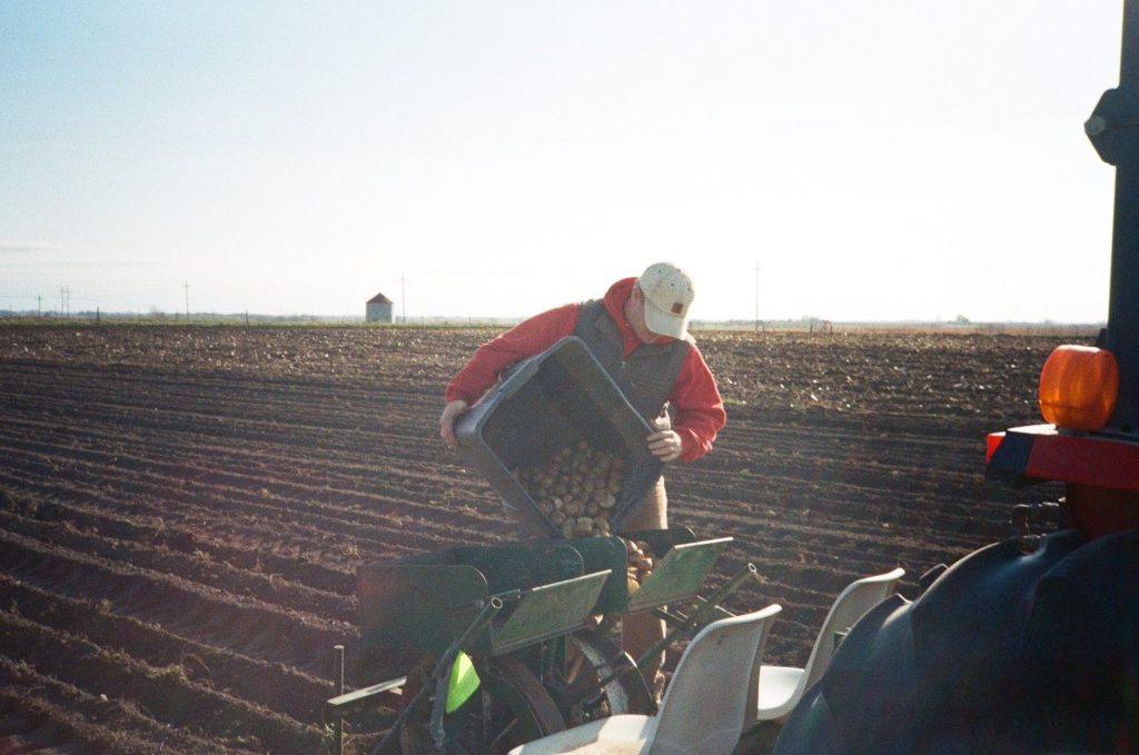 Jason Grimm plantingpotatoes