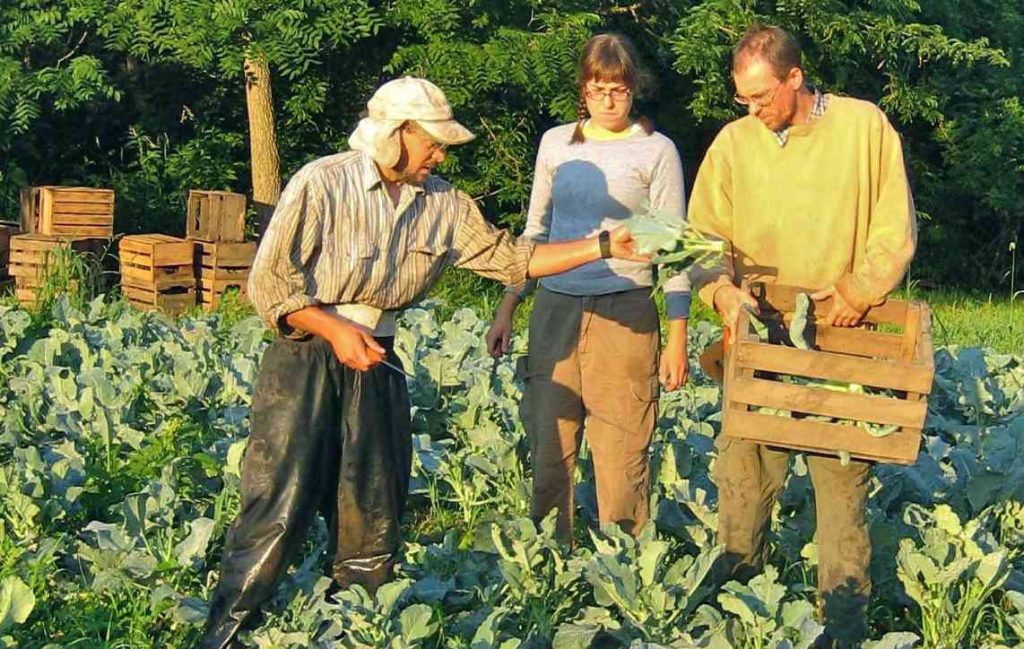 Photo of Henry with farm apprentices