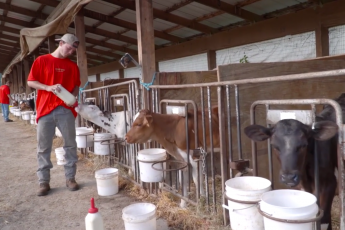 Pennsylvania Dairy Farmers: Growing the Next Generation