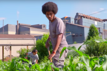 Pennsylvania Urban Farmers: Growing Resiliency