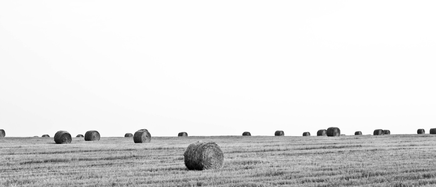 black and white hay bales