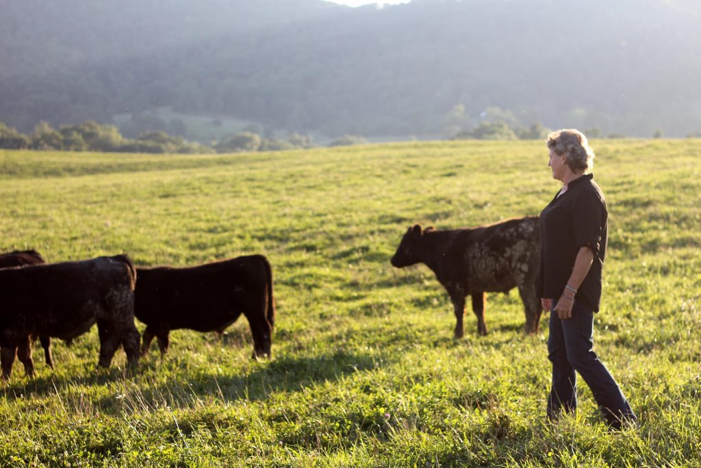 woman in field with cattle