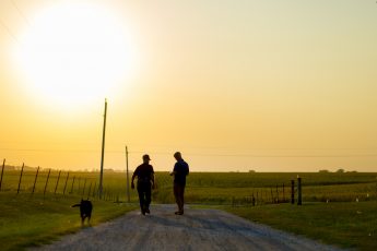 Saving the Farm: The Need for Farm Advocates