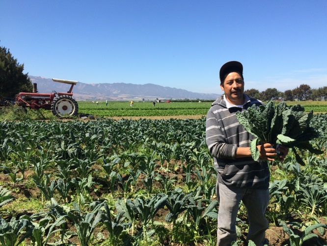 Luis Silva ALBA Farmer