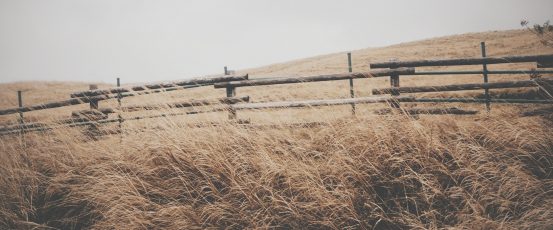 Farm Bill 101