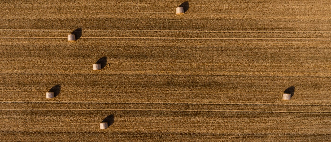 hay bales in field