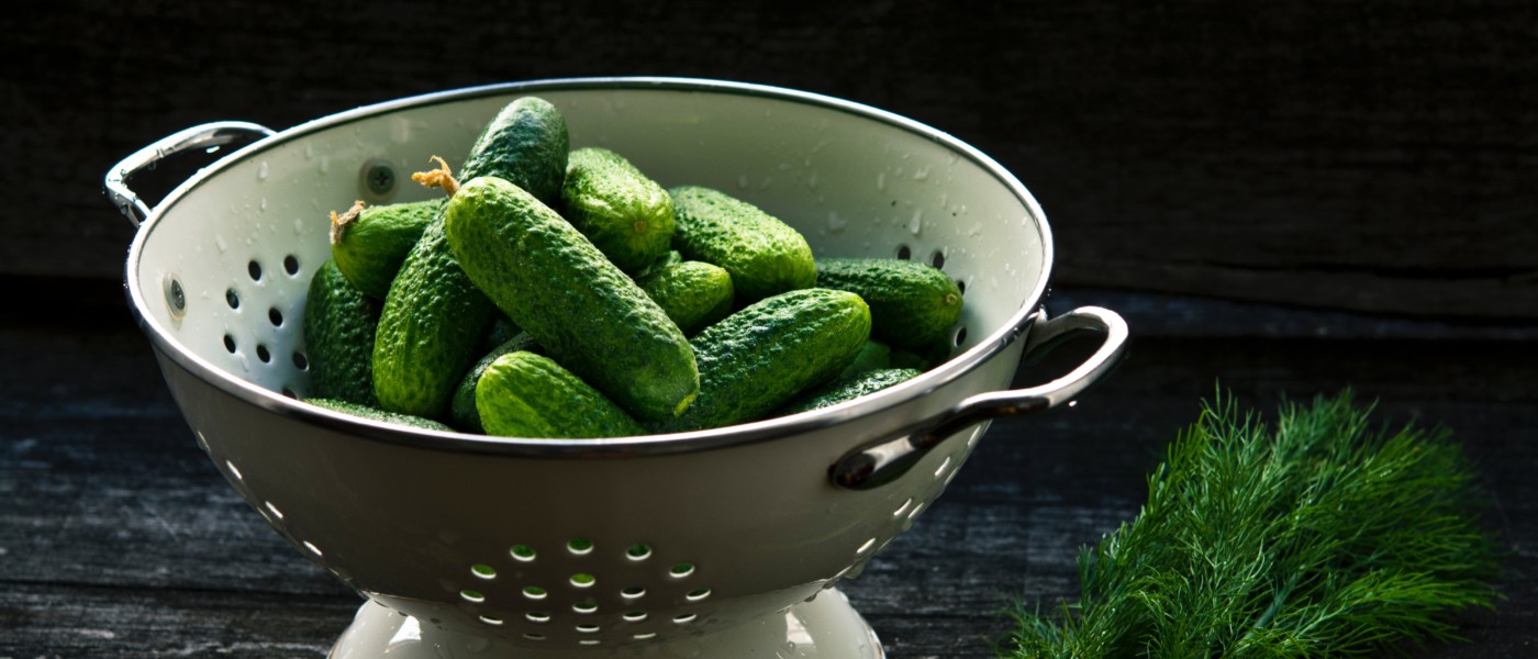 cucumbers and dill for pickles