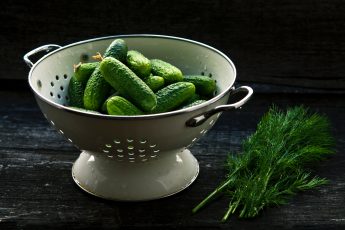 Join Farm Aid at Boston Pickle Fair on Saturday June 23!