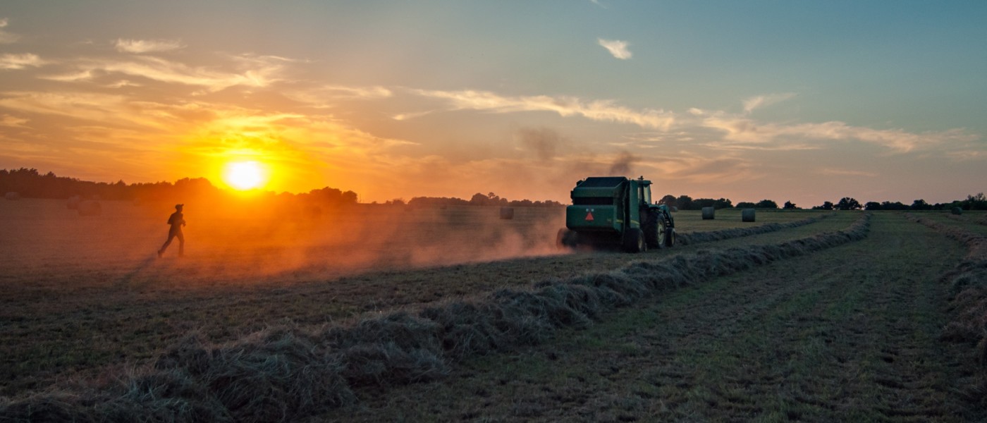 man in field at sunset