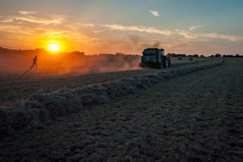 American farmers are the biggest losers in Trump’s unnecessary trade war