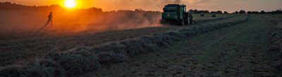 man in field at sunset