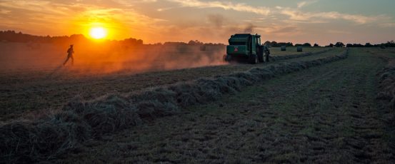 American farmers are the biggest losers in Trump’s unnecessary trade war