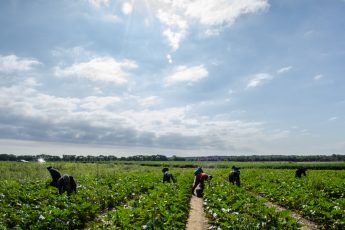 The People Providing Our Food Are Essential; We Must Treat Them That Way