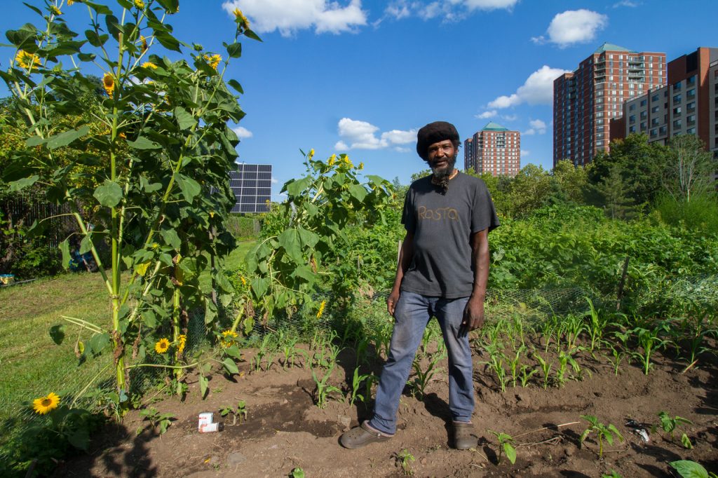 KNOX urban farmer Derrick