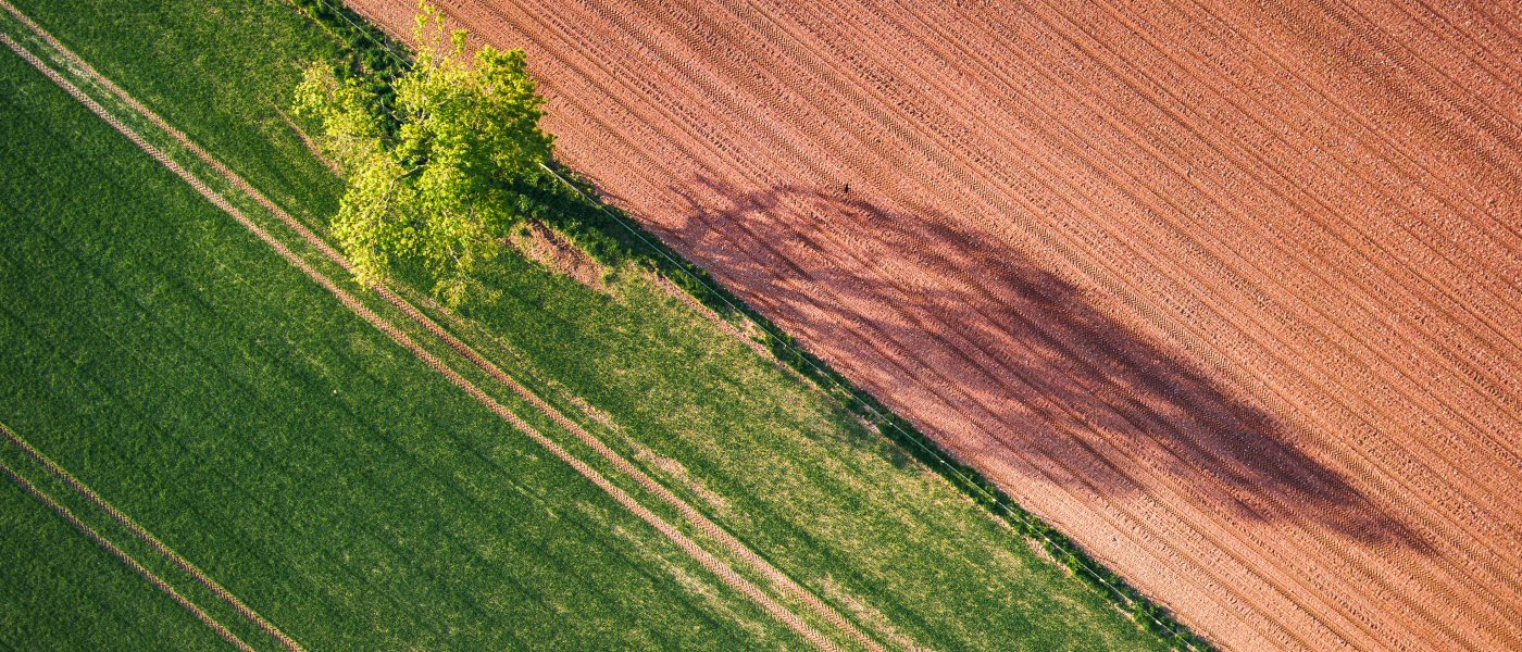 divided farm field from above