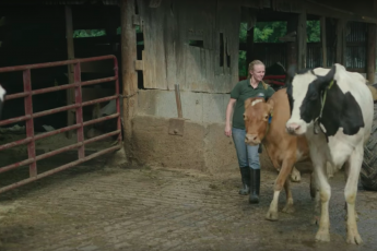 Dairy Farming in Connecticut