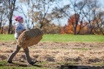 Your Connecticut Farmer Heroes Inspire Us