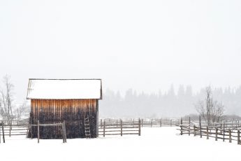 Too many farmers worry this will be their farm’s last year