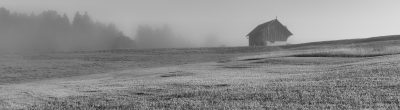 black and white barn and field
