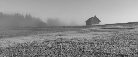 Farm Aid featured on podcast about farmer mental health