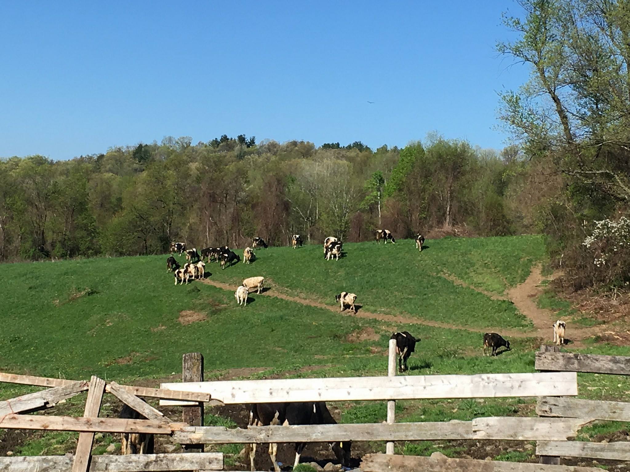 The MacMillans of Cherry Hill Farm Farm Aid
