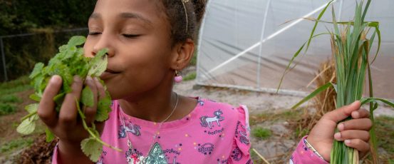 Growing Food in Urban Spaces: Farm Aid Grantees Report