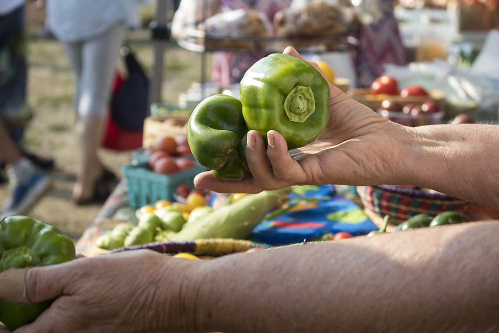 Rachel holds green peppers for a customer to examine at Landon’s Greenhouse Saturday Farmers Market