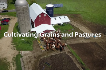 Cultivating Grains and Pastures: Protecting Soil and Creating New Opportunities for Farmers