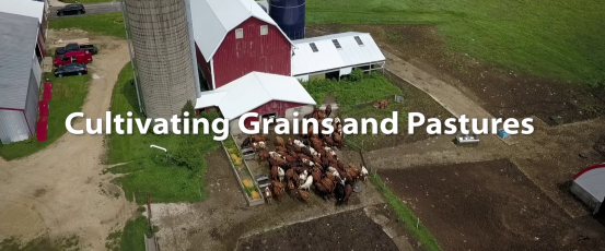 Cultivating Grains and Pastures: Protecting Soil and Creating New Opportunities for Farmers