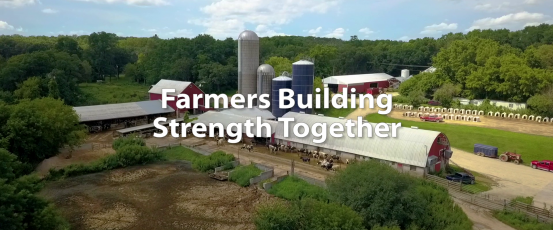 Farmers Building Strength Together: Soil Sisters and Dairy Together