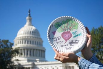 Farm to School: From Farm Aid 2019 to Washington DC