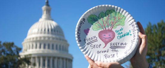 Farm to School: From Farm Aid 2019 to Washington DC