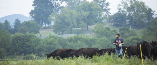 The Agriculture Resilience Act Offers Farmers Climate Change Solutions