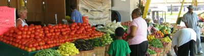 farmers market