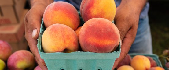 New Legislation Will Provide Crucial Support to Family Farmers and Ranchers