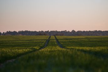 Announcing the “Farmers’ Guide to COVID-19 Relief”