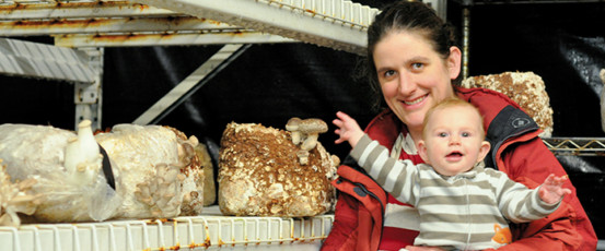 Farmer Hero: Julia Coffey, From Mushrooms to Food Hub