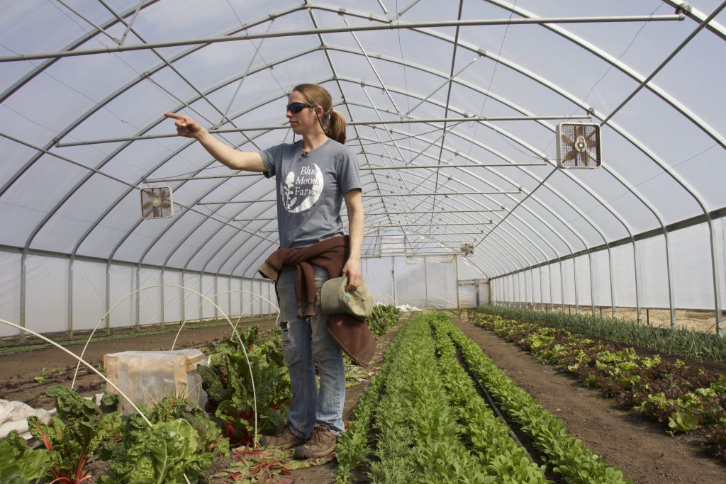 A woman stands in a row of lettuce plants. 