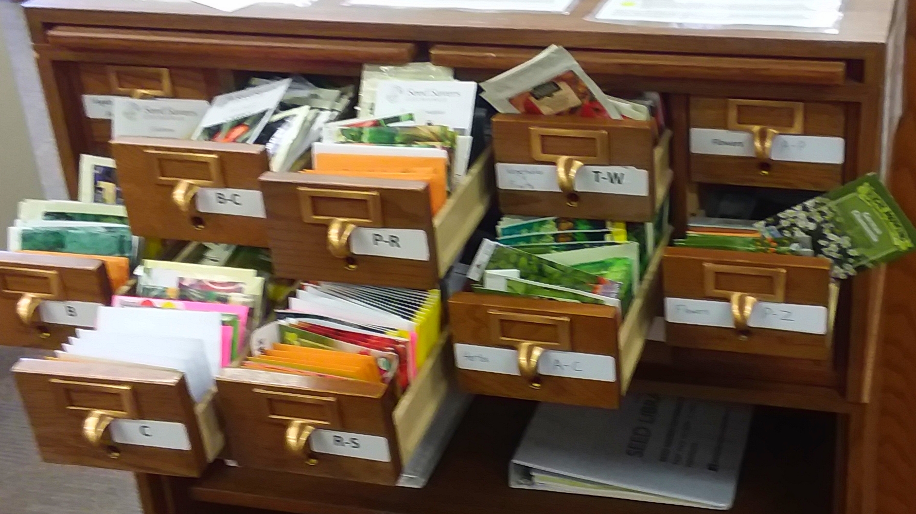 Drawers full of seeds