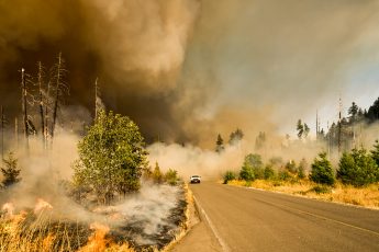 Resources for Farmers Affected by 2020 West Coast Wildfires