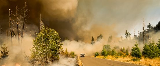 Resources for Farmers Affected by 2020 West Coast Wildfires